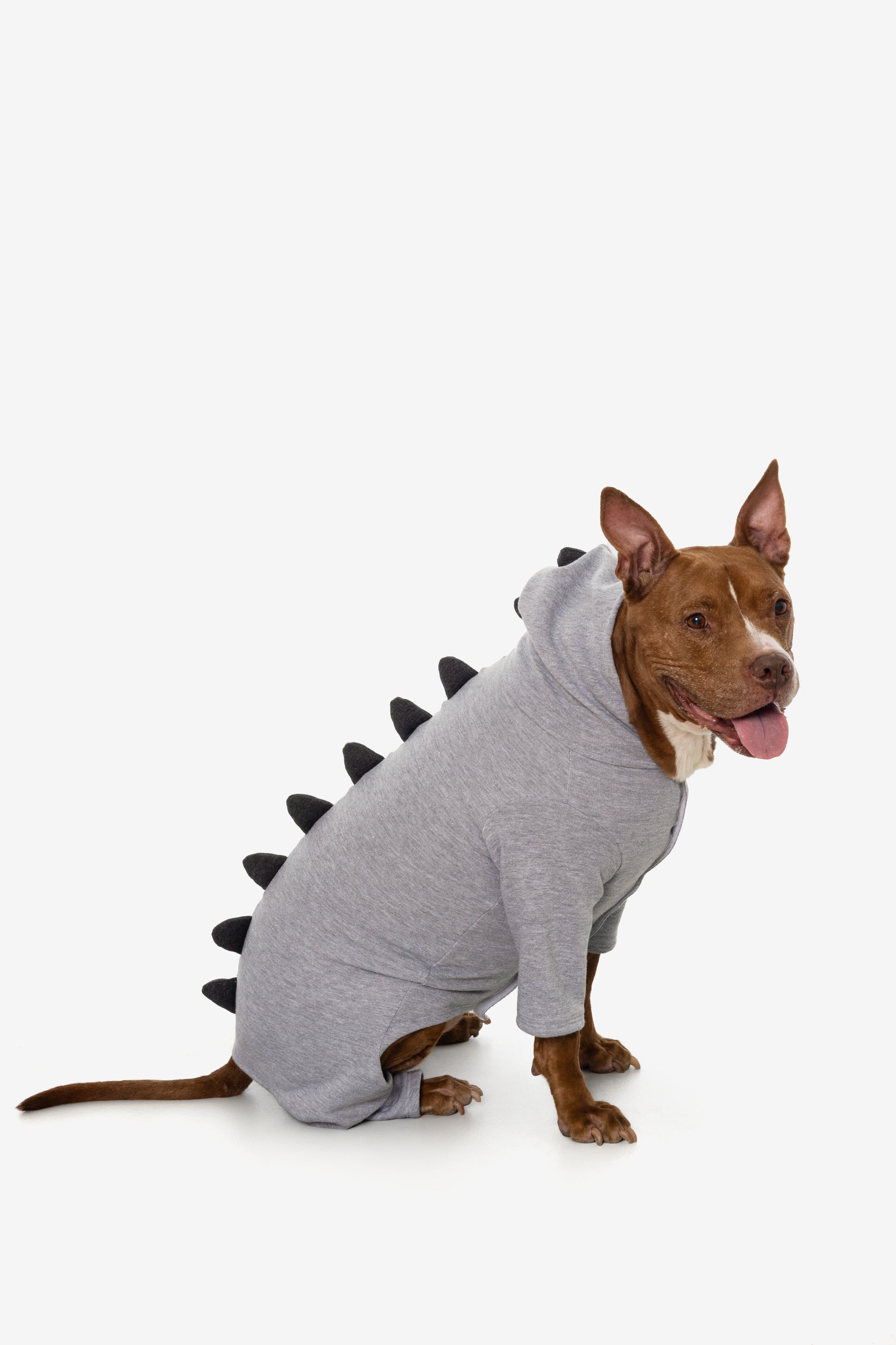 FF900 - Dogzilla