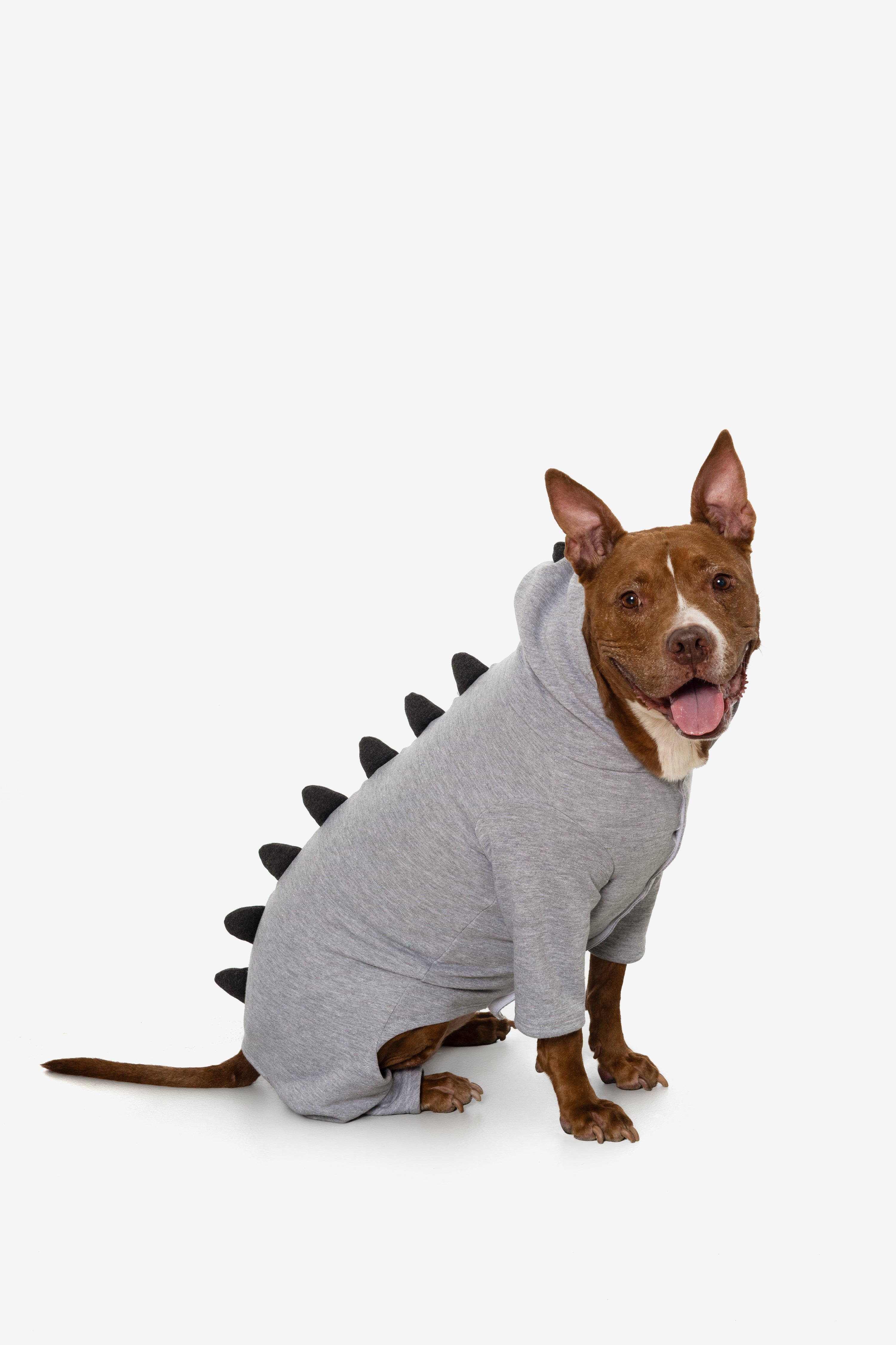 FF900 - Dogzilla