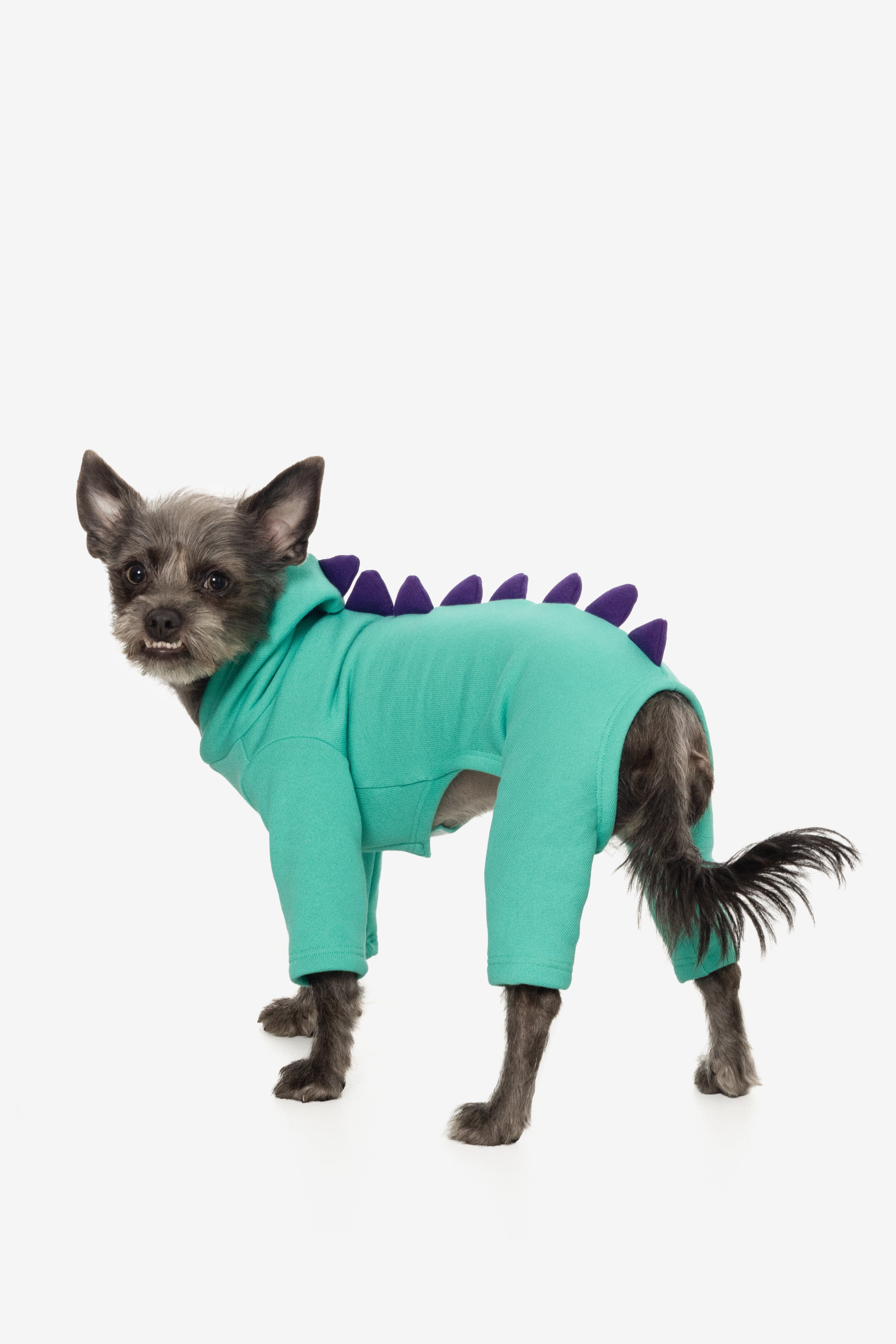 FF900 - Dogzilla