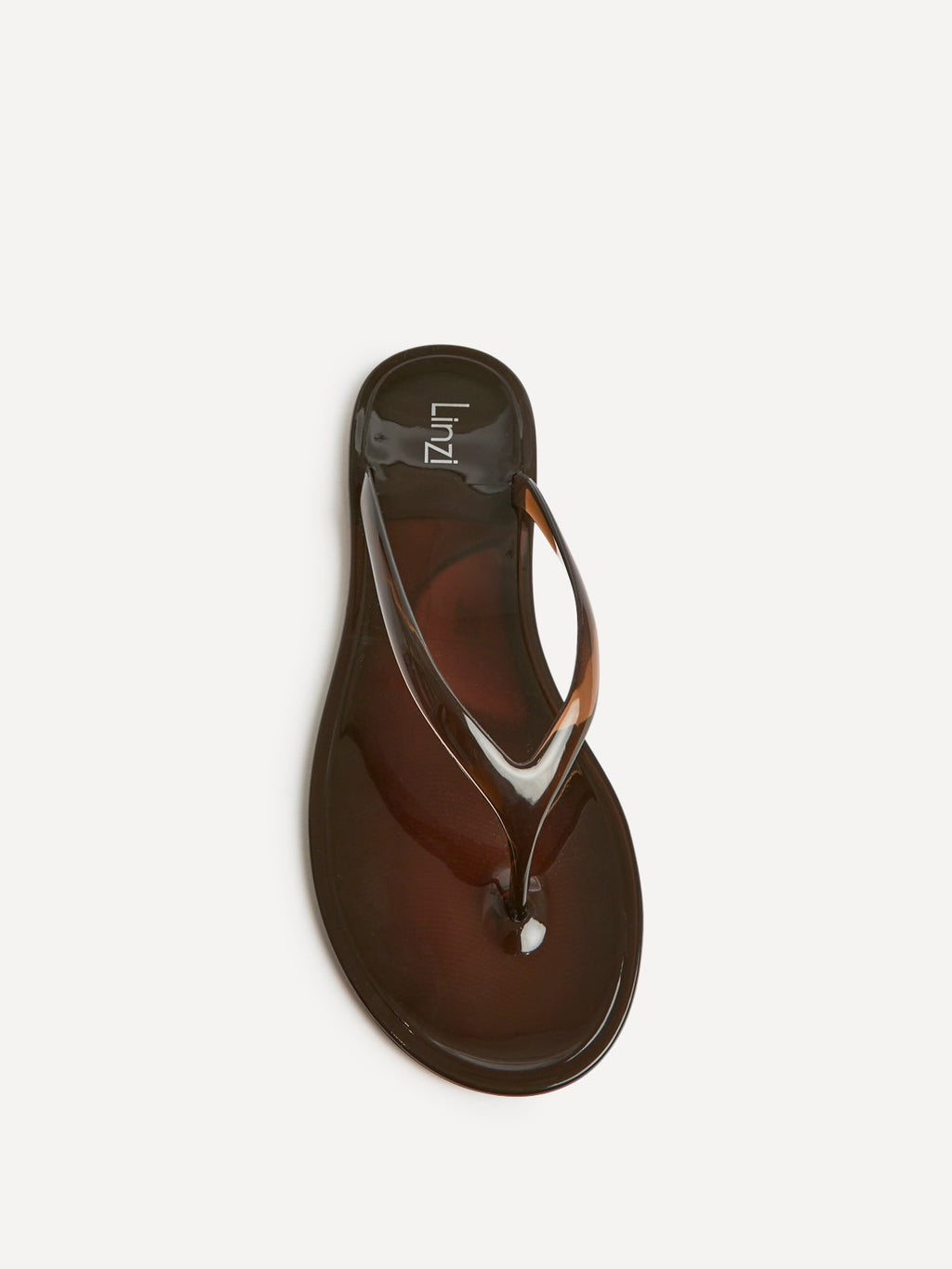 Marine Brown Jelly Flip Flops