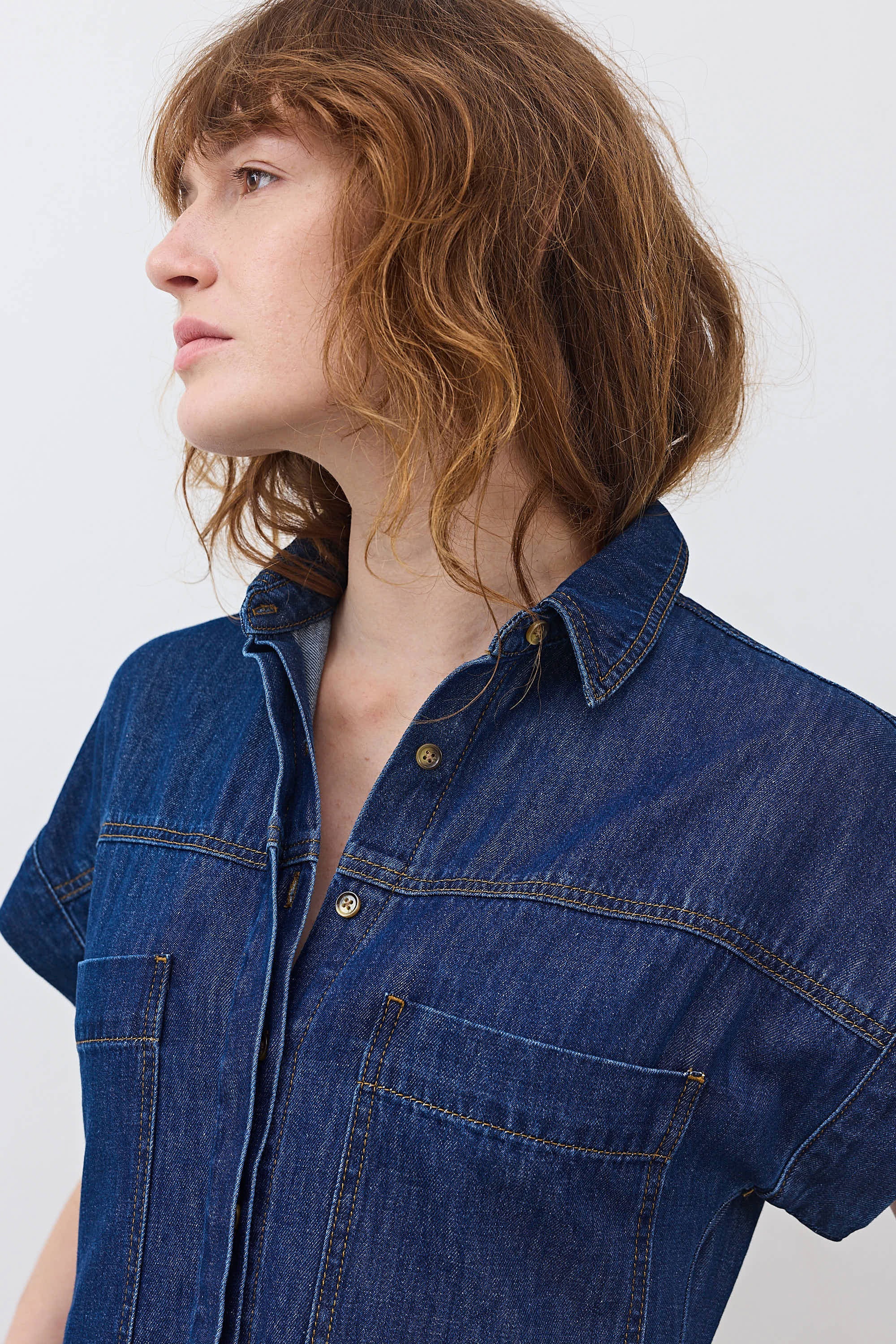The Denim Shirt Dress