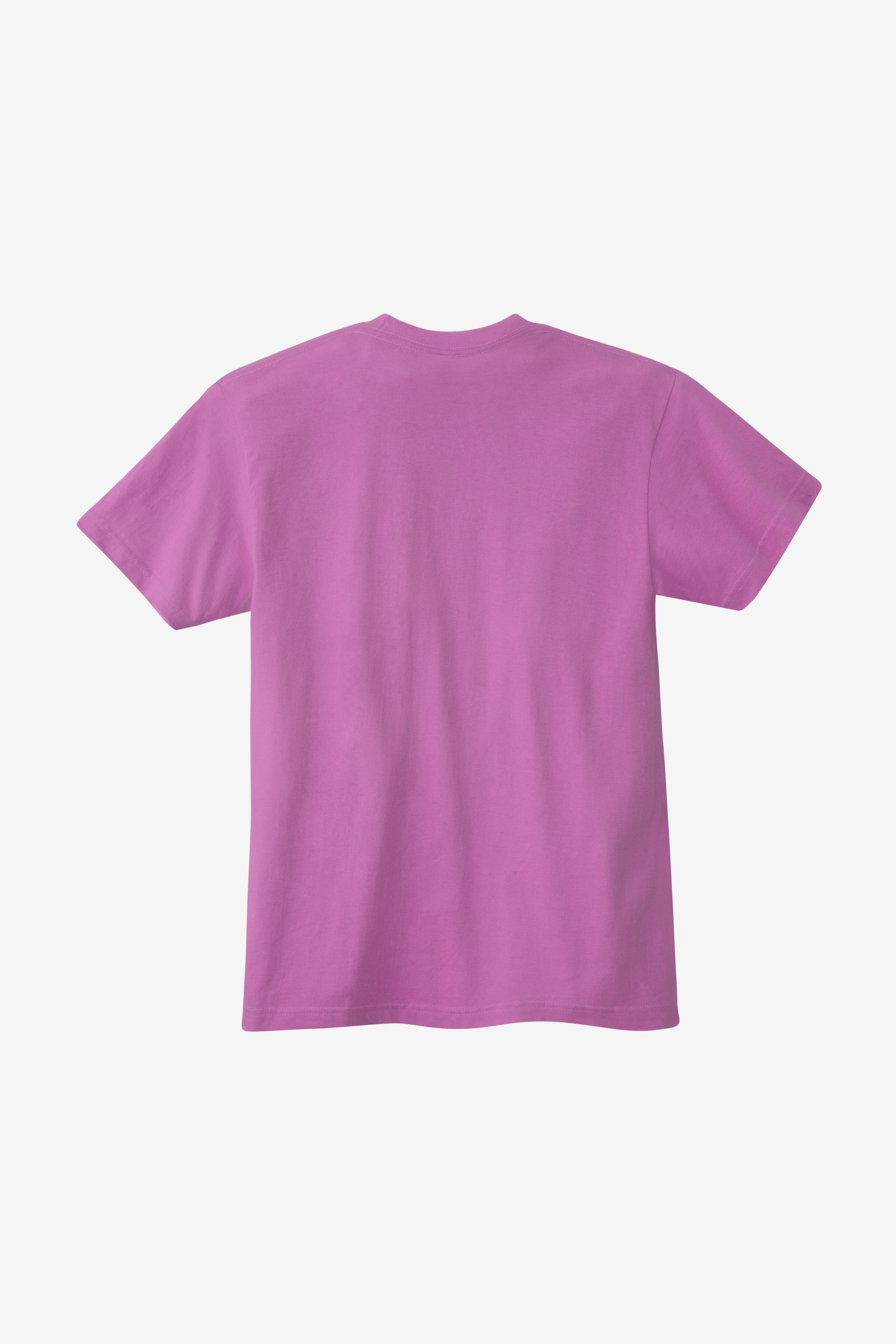 20001 - Fine Jersey Crew Neck T-Shirt